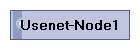 Usenet-Node1
